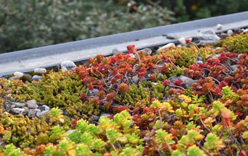 the cost of Leadenham green roof installation