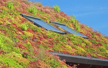 Leadenham living roof systems
